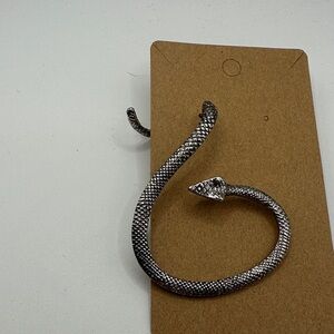 Silver Snake-Shaped Ear Wrap with matching post back tail - Metallic Silver